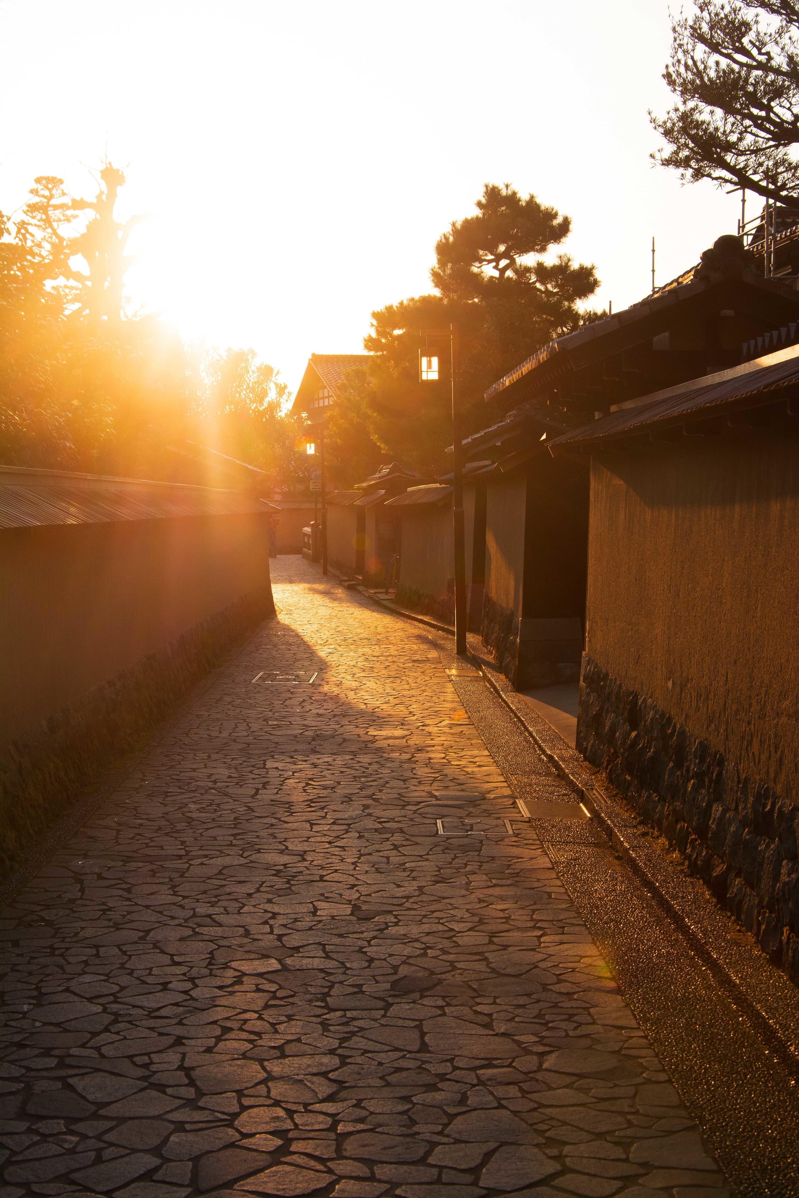 adobestock_738703460.jpg